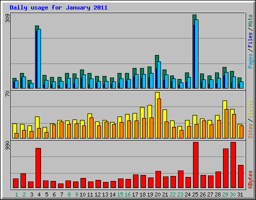 Daily usage for January 2011